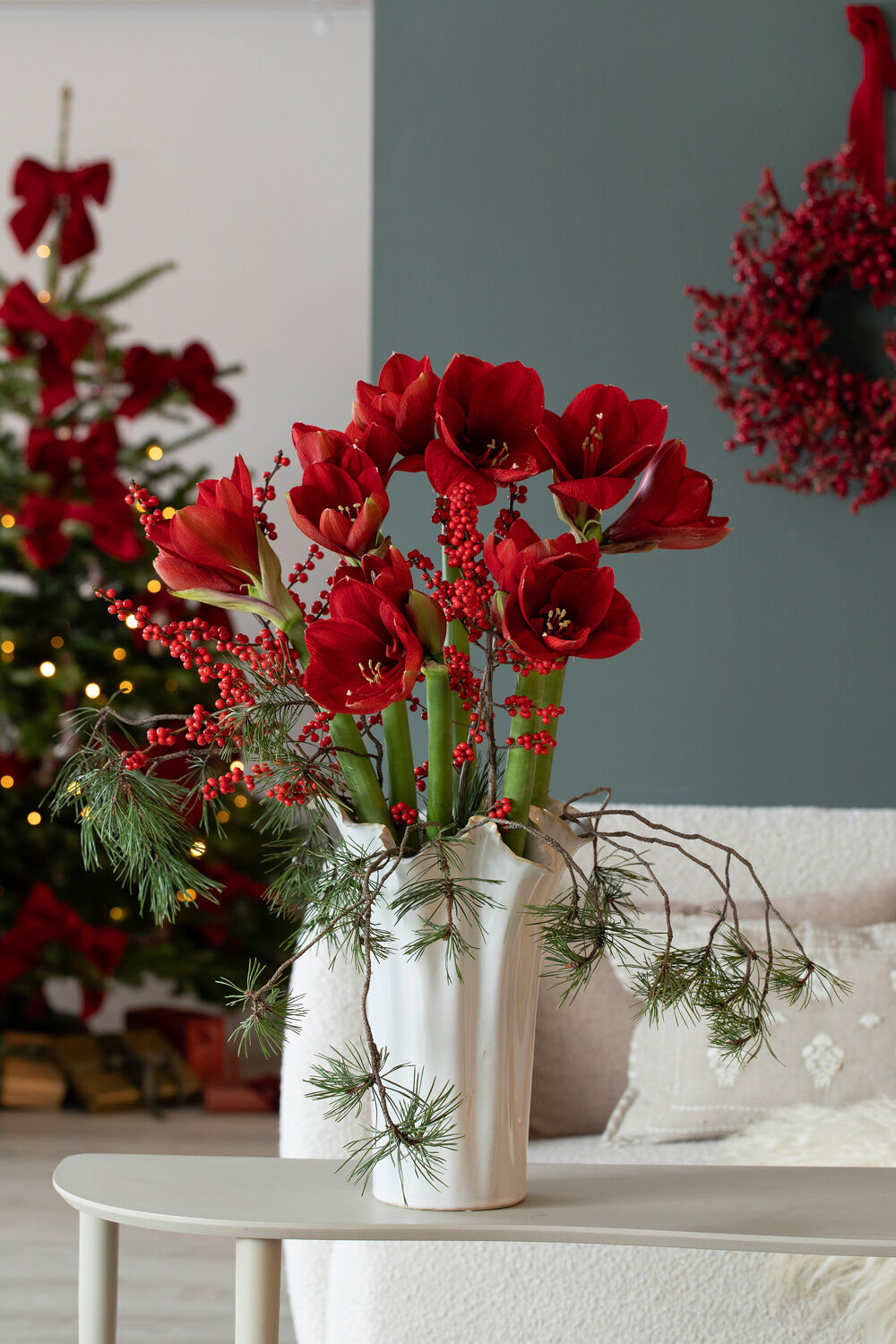 R&oslash;de amaryllis